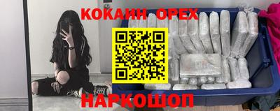 гидропоника Будённовск