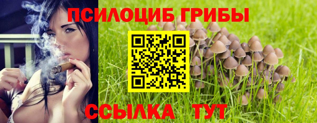 Псилоцибиновые грибы мухоморы  Псилоцибиновые грибы Psilocybe  Вход с VPN  Новошахтинск 