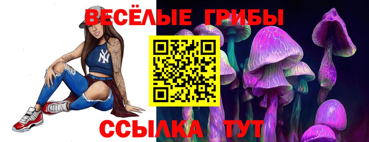 Псилоцибиновые грибы мухоморы Новошахтинск